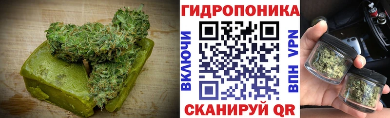 цена наркотик  Новошахтинск  Cannafood марихуана 