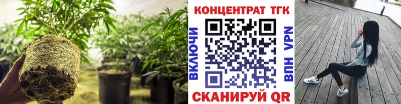 блэк спрут ТОР  Новошахтинск  Дистиллят ТГК Wax 