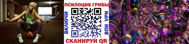 Галлюциногенные грибы Psilocybe  хочу   Новошахтинск 