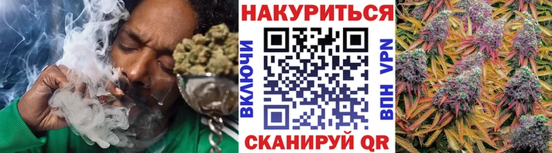 Канабис сатива  Новошахтинск 